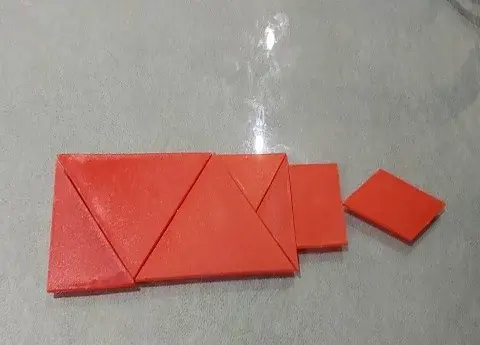 عکس خرگوش شاه
