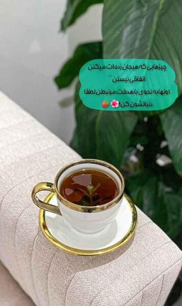 عکس دختر فیک استوری
