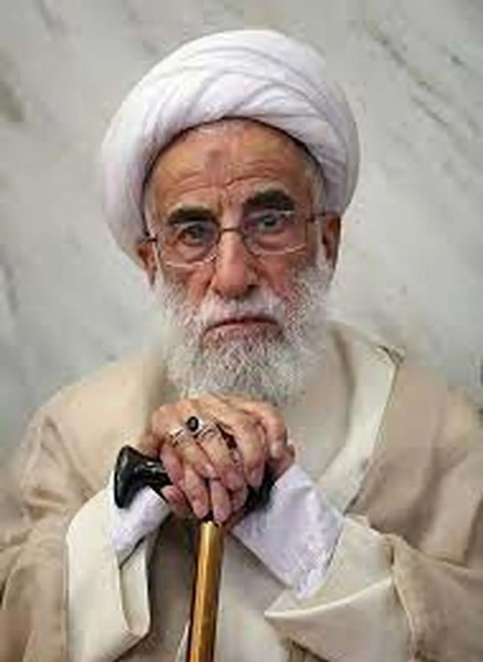 عکس همسر جدید آیت الله جنتی
