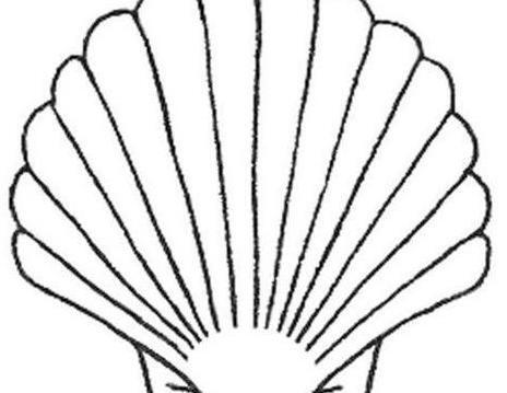 عکس صدف گرافیکی