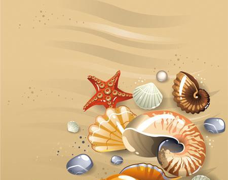 عکس صدف گرافیکی