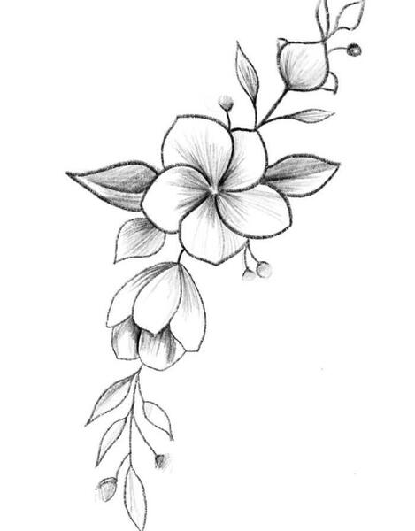 عکس ایده نقاشی گل لاله