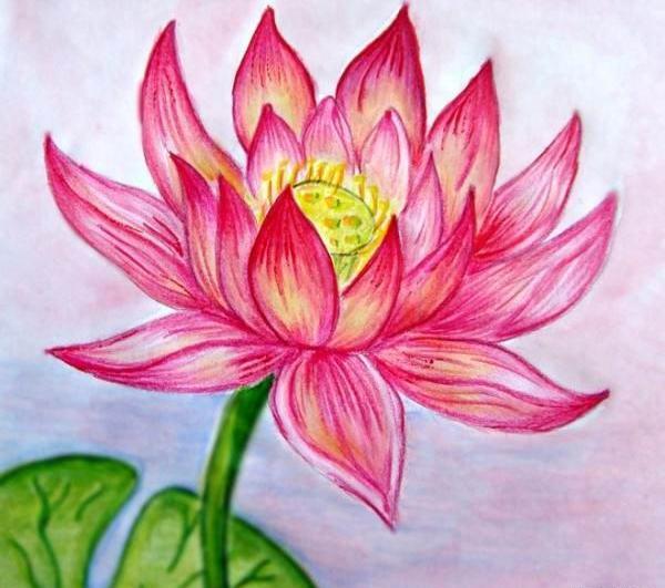 عکس ایده نقاشی گل لاله