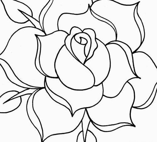 عکس ایده نقاشی گل لاله