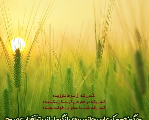 عکس نوشته های زیبا پر معنی جدید