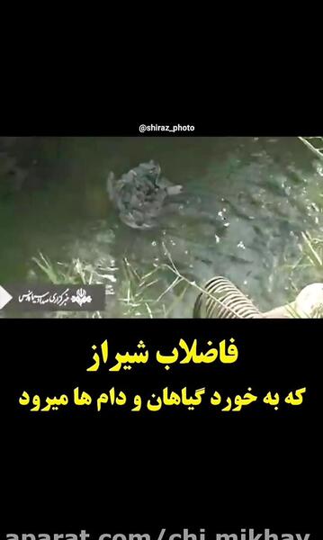 عکس کیک تولد ملکه الیزابت