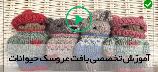 عکس سگ پشمالو تربیت شده