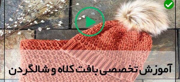 عکس سگ پشمالو تربیت شده