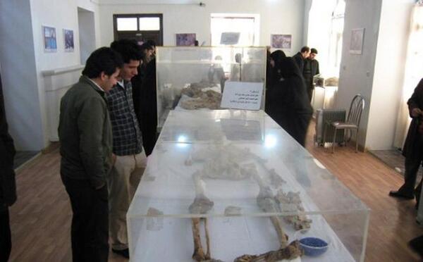 عکس پدر مادر علی اوجی
