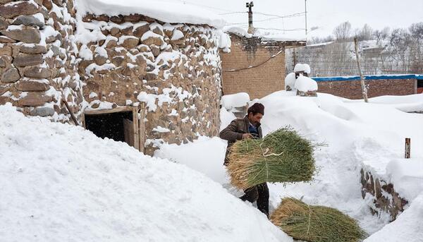 عکس برف و سرما