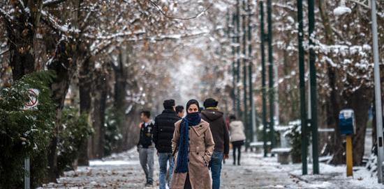 عکس برف و سرما