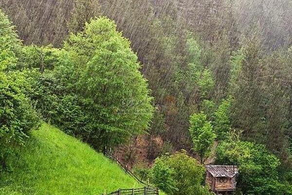 عکس طبیعت بارانی شمال