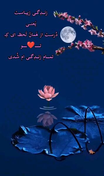 عکس برف بازی عاشقانه
