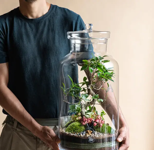 عکس ظرف شیشه ای
