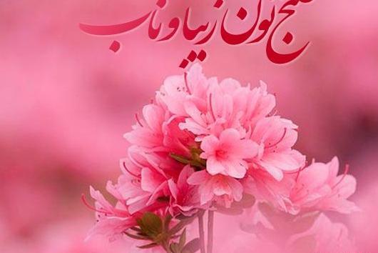 عکس نوشته در مورد سلام صبح بخیر