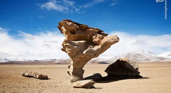 عکس سنگ در طبیعت