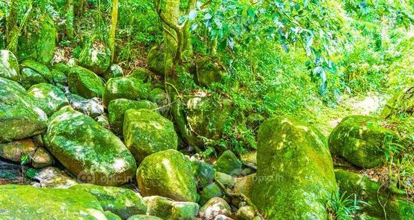 عکس سنگ در طبیعت