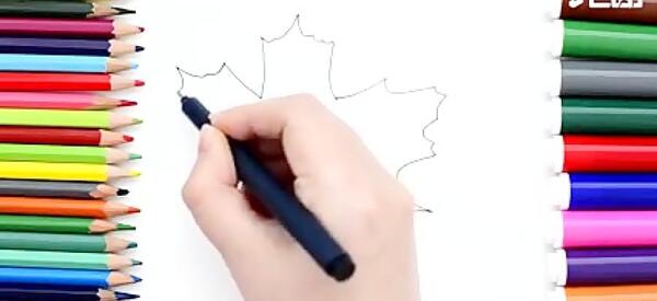 عکس روباه کلاس اول