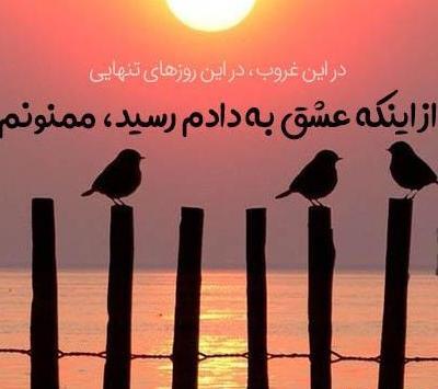 عکس ظرف های اسباب بازی