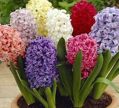 عکس ظرف های اسباب بازی