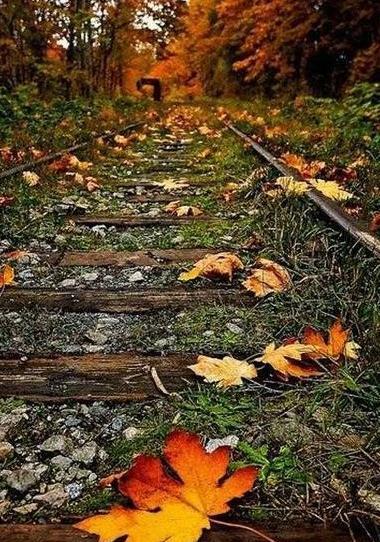 عکس بغل پاییزی