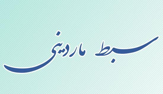عکس پرچم نیجر