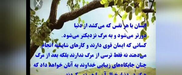عکس نوشته چشم شوری