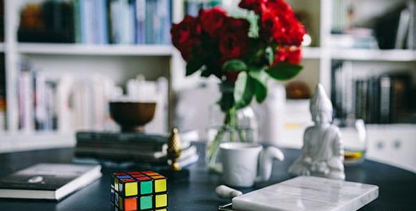 عکس گل رز لایه باز
