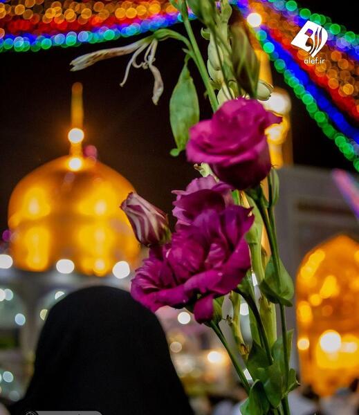عکس پرچم حرم امام رضا