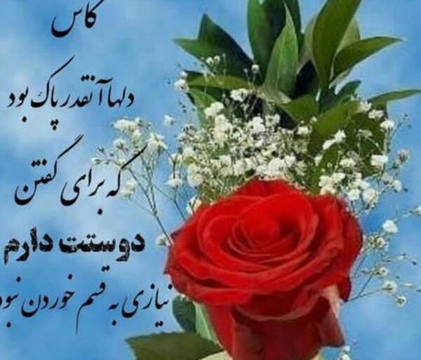 عکس گل نود