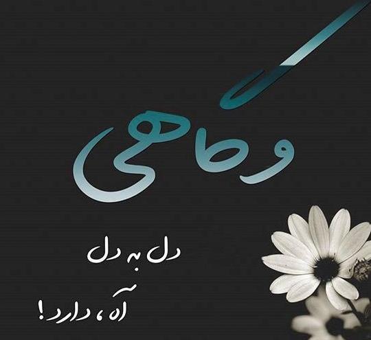 عکس گل نود