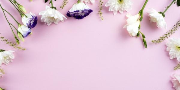 عکس پس زمینه خالی