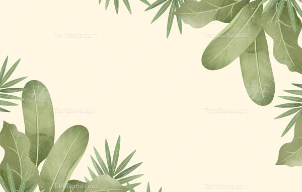 عکس پس زمینه خالی