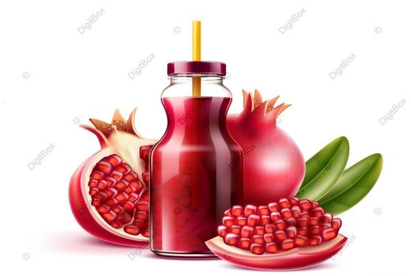 عکس وکتور انار