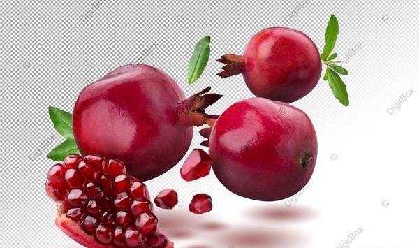 عکس وکتور انار