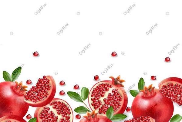 عکس وکتور انار