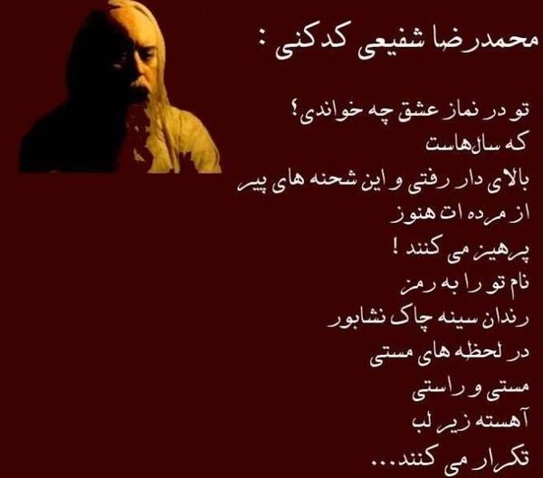 عکس جغد شدن شفیعی جم