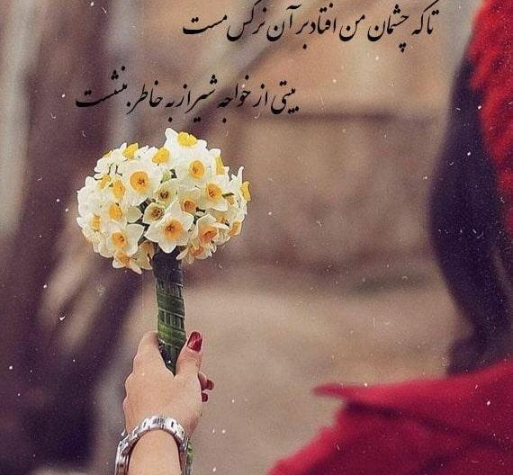 عکس گل نوشته نرگس