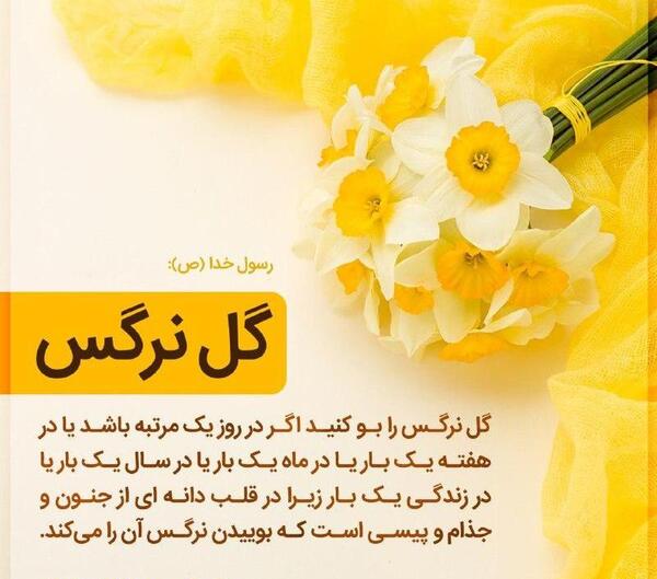 عکس گل نوشته نرگس