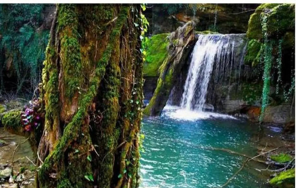 عکس بهشت گمشده یاسوج