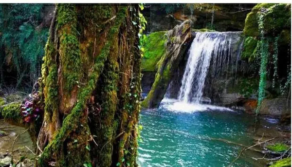 عکس بهشت گمشده یاسوج