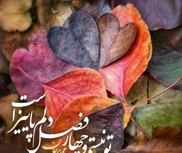 عکس نوشته در مورد ظالم