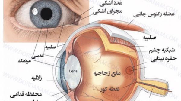 عکس صفحه چشم