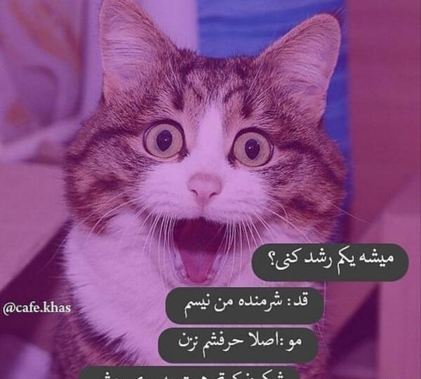 عکس سوتی افتضاح نی نی سایت