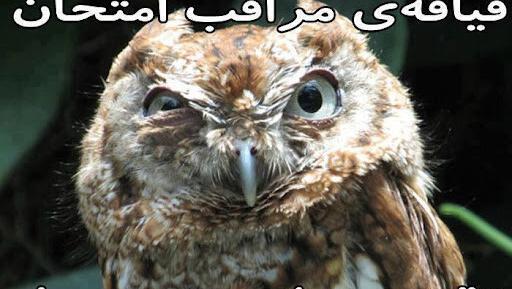 عکس سوتی افتضاح نی نی سایت