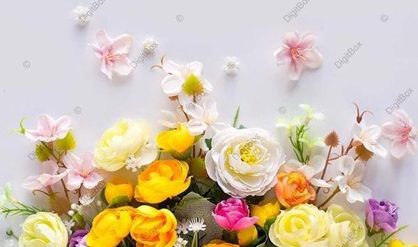 عکس پس زمینه گل