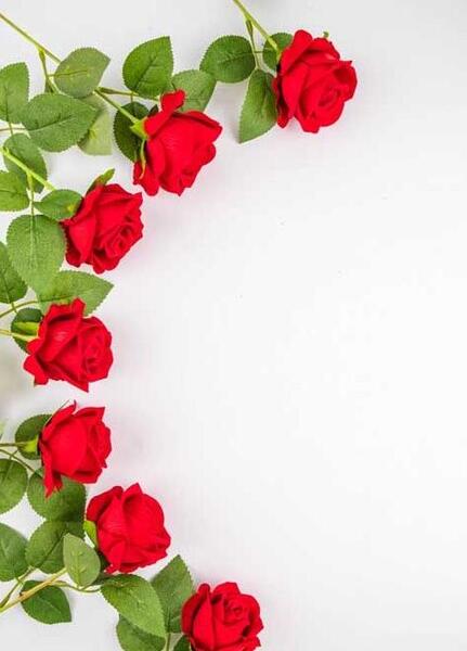 عکس پس زمینه گل