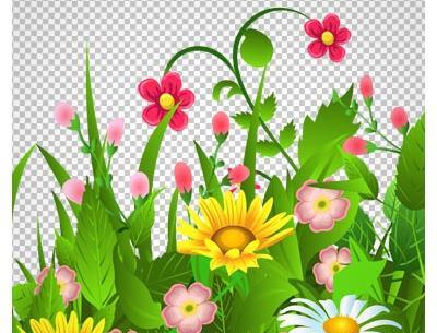 عکس سبزه انیمیشنی