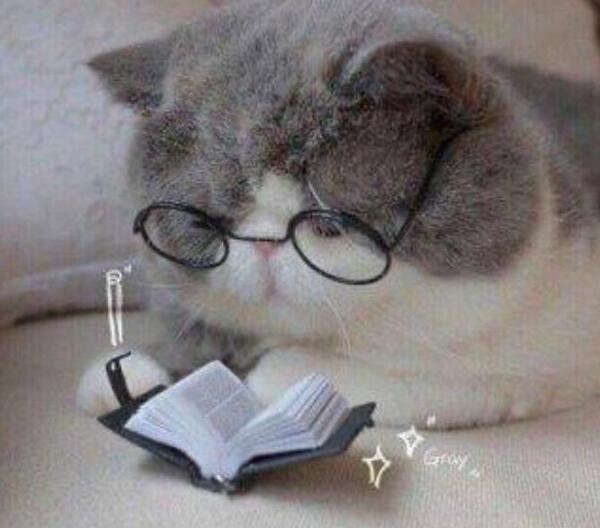 عکس پروفایل دختر گربه ای