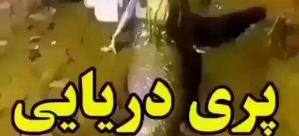 عکس پری دریایی از نزدیک